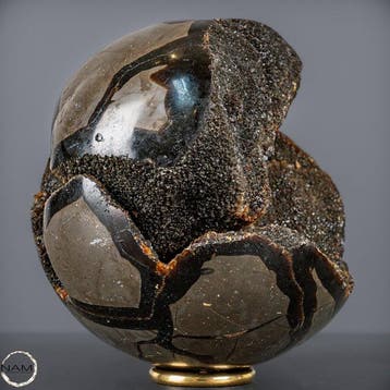Septarische bol met calcietkristallen – Fascinerende geode