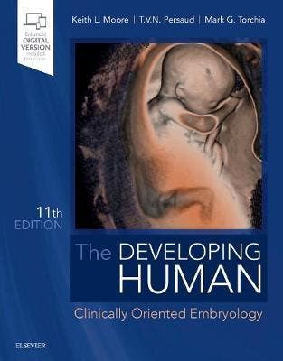 The Developing Human, 9780323611541, Verzenden, Zo goed als nieuw, HBO