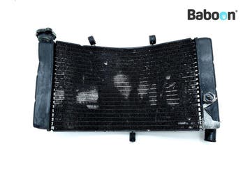 Radiateur Honda CBR 900 RR Fireblade 1996-1997 (CBR900RR, Verzenden, Gebruikt