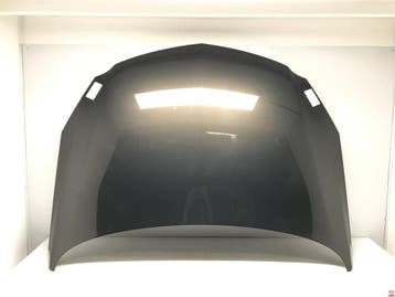 Opel Insignia 2008/2017 Motorkap Origineel!, Ophalen, Gebruikt, Voor, Opel