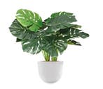 Monstera kunstplant, H70cm, Ophalen of Verzenden, Overige soorten, Minder dan 100 cm