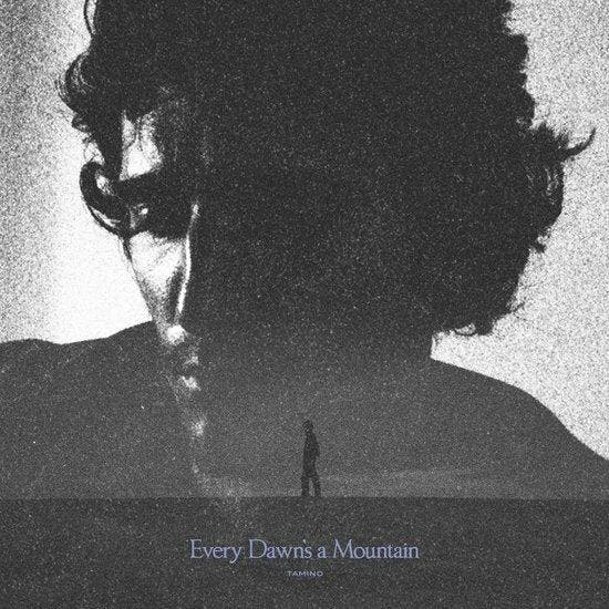 TAMINO - EVERY DAWNS A MOUNTAIN (LP), Cd's en Dvd's, Vinyl | Pop, Verzenden