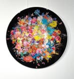 Van Apple - Black Pearl