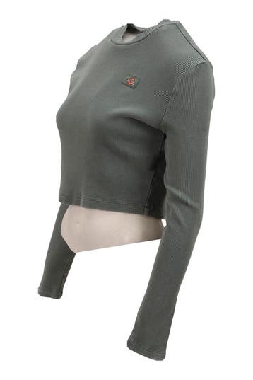 Dickies T-shirt in maat S Groen, Kleding | Dames, Dickies, Verzenden, Gedragen, Groen
