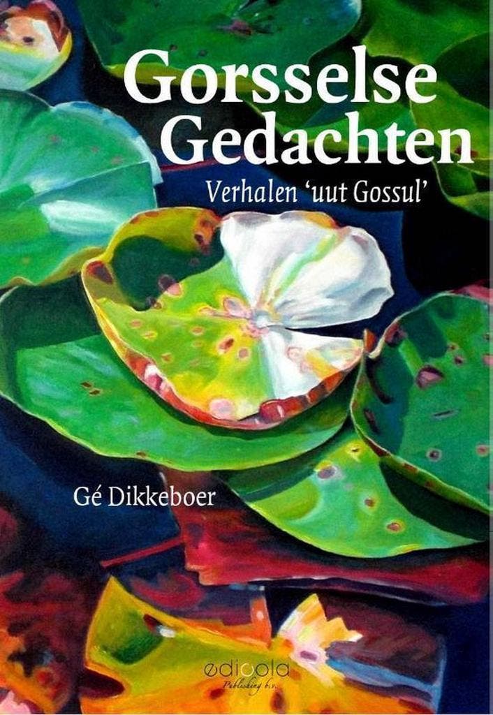 Gorsselse gedachten - Gé Dikkeboer 9789491172885, Boeken, Geschiedenis | Stad en Regio, Zo goed als nieuw, Verzenden