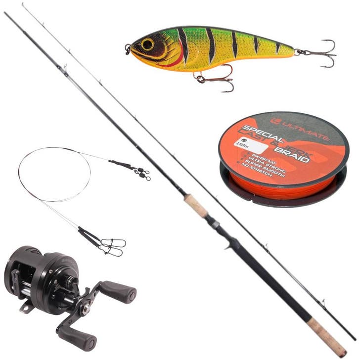 Ultimate Pike Baitcasting Set, Watersport en Boten, Hengelsport | Algemeen, Nieuw, Verzenden