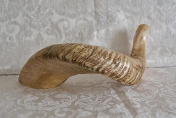 Shofar (Kosher) voornamelijk licht gekleurd., Muziek en Instrumenten, Blaasinstrumenten | Overige, Nieuw