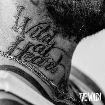 cd - wild - WILD AT HEART (nieuw), Verzenden, Zo goed als nieuw