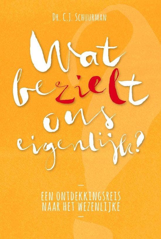 9789076681382 Wat bezielt ons eigenlijk? | Tweedehands, Boeken, Psychologie, Gelezen, Verzenden