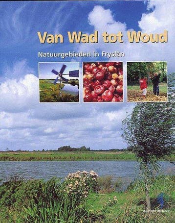 Van Wad Tot Woud - Emiel Beijk 9789090151984, Boeken, Verzenden, Gelezen, Emiel Beijk
