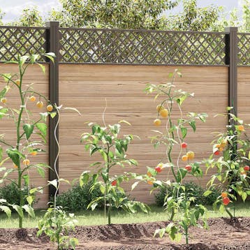 vidaXL Plantenstok spiraal 110 cm gegalvaniseerd staal 5 st, Verzenden, Nieuw, Metaal