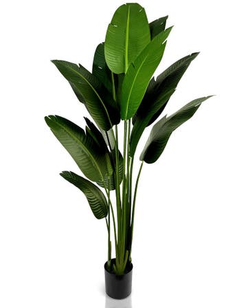IvoQ Strelitzia Kunstplant 210 cm, Huis en Inrichting, Verzenden, Nieuw