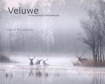 Veluwe, onvergetelijke ontmoetingen - G. Besselink, Boeken, Verzenden, Gelezen, G. Besselink
