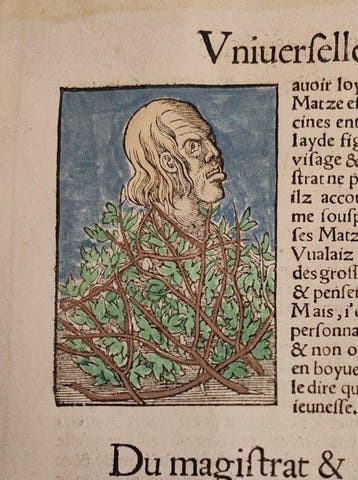 Sebastian Münster (1489–1552) - Cosmographie Universelle -, Antiek en Kunst