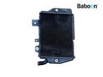 Radiateur Links Triumph Tiger 900 Rally Pro 2020-2023, Motoren, Verzenden, Gebruikt