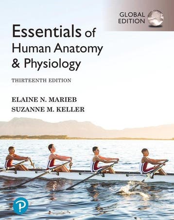 9781292401942 Essentials of Human Anatomy  Physiology, Gl..., Verzenden, Zo goed als nieuw, Elaine Marieb