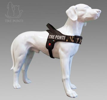 Treponti.nl: De enige officiële complete Treponti webshop., Overige rassen, Geslacht onbekend, Eén hond, Nederland
