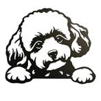 Wanddecoratie metaal Toy Poedel 37 x 30 cm, Verzenden, Nieuw