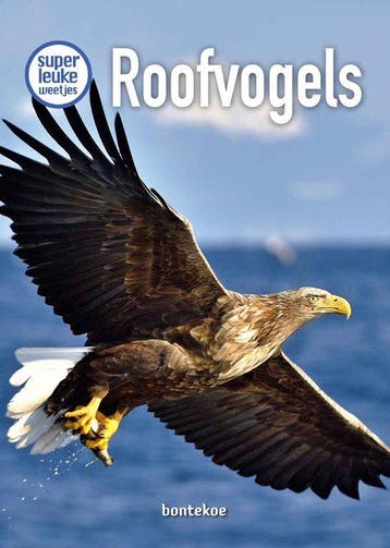 9789463527231 Superleuke weetjes - Roofvogels, Boeken, Verzenden, Nieuw, Christina Braun