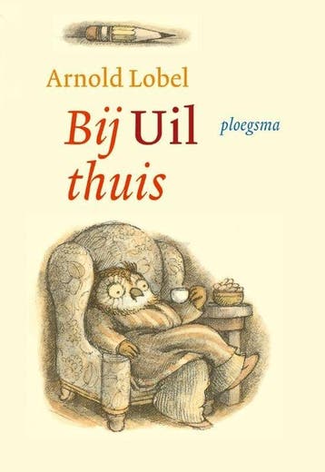 Boek Bij Uil Thuis 9789021617893, Verzenden, Zo goed als nieuw