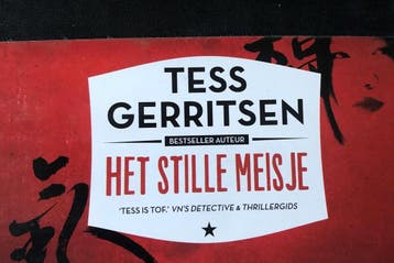 Het stille meisje DL light - Tess Gerritsen 9789049804091, Verzenden, Gelezen, Tess Gerritsen
