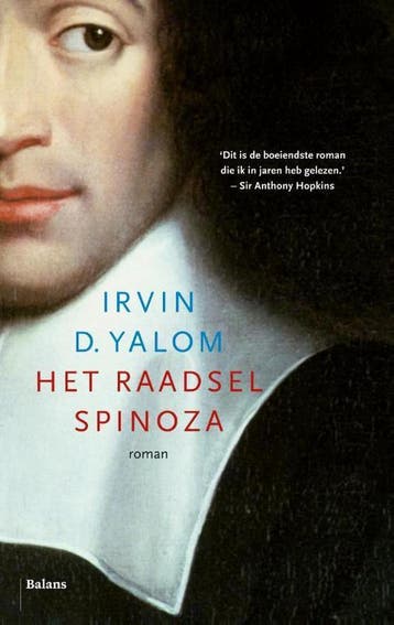 Het raadsel Spinoza - Irvin D. Yalom 9789460038945, Boeken, Verzenden, Gelezen, Irvin D. Yalom