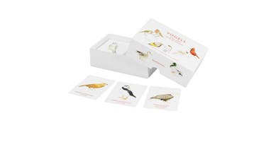 Vogels | Christine Berrie | Nieuw, Ophalen of Verzenden, Nieuw, Christine Berrie