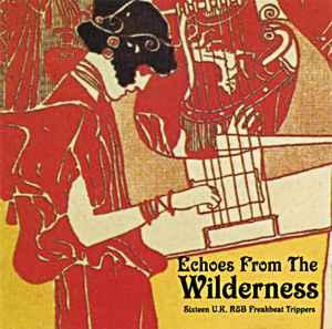 cd - Various - Echoes From The Wilderness, Verzenden, Zo goed als nieuw