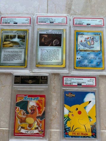 Pokémon - 5 Graded card - Totodile, Charizard, Pikachu,, Nieuw