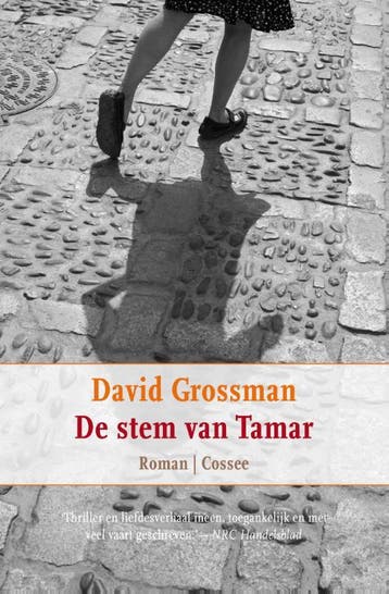 De stem van Tamar 9789059363533 David Grossman, Boeken, Verzenden, Gelezen, David Grossman