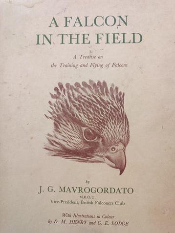 J. G. Mavrogordato/D. M. Henry/G. E. Lodge - A Falcon in the