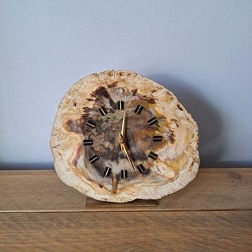 Fossiel hout - Gefossiliseerd hout - 20 cm - 22 cm (Zonder