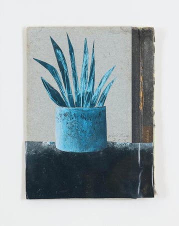 Anke Roder (1964) - Sanse Vieria