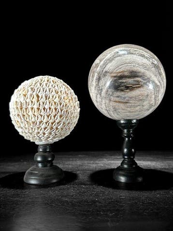 Decoratief ornament - NO RESERVE PRICE - Wonderful Pair of