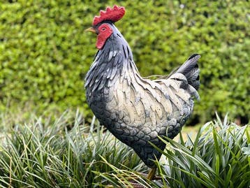 sculptuur, Schitterende hen XL - 53 cm - IJzer