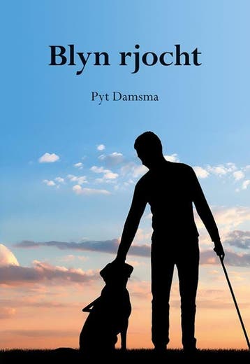 Blyn rjocht - Pyt Damsma 9789463655286, Verzenden, Gelezen, Pyt Damsma