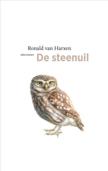 De Steenuil | Ronald Harxen | Nieuw, Ophalen of Verzenden, Nieuw, Ronald Harxen