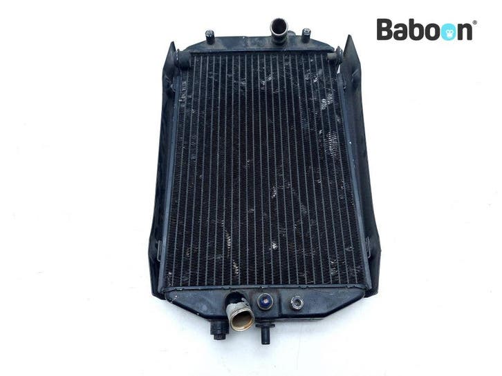 Radiateur Yamaha XVZ 1300 A Royal Star 1997-2000 (XVZ1300A), Motoren, Onderdelen | Yamaha, Gebruikt, Verzenden