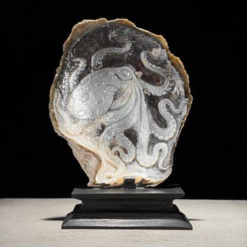 Zeer fijn gesneden parelmoeren schelp - octopusmotief