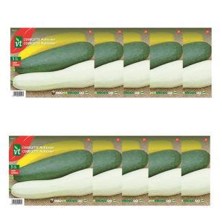 Courgettezaad | VT | 10 stuks (Multicolor), Tuin en Terras, Verzenden