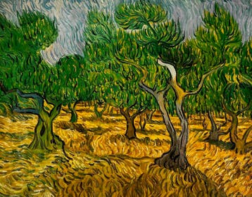 Vincent van Gogh – De Olijfbomen | 72x93, Ophalen of Verzenden, Nieuw
