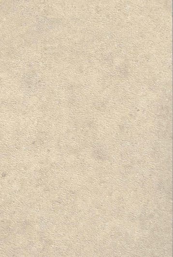 SPC Wandpaneel 280x120 Desert Concrete - Sample, Nieuw