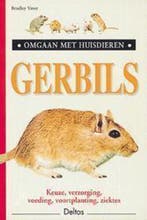 Gerbils / Omgaan met huisdieren 9789024374298 B. Viner, Verzenden, Gelezen, B. Viner