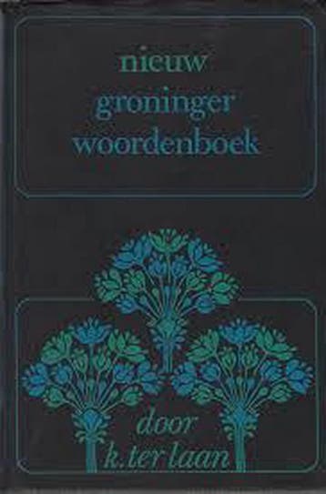 Nieuw groninger woordenboek heruitg. - Laan 9789060880449, Verzenden, Gelezen, Laan