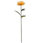 Protea Geel Zijdenbloem 75 cm per stuk, Ophalen of Verzenden, Nieuw