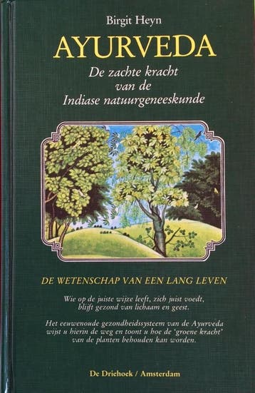 Ayurveda - B. Heyn 9789060304600, Verzenden, Gelezen, B. Heyn
