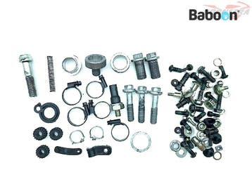 Bouten en Moeren Ducati Monster 1200 R 2016 (1200R), Verzenden, Gebruikt