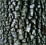 cd - Ativin - Interiors, Verzenden, Zo goed als nieuw