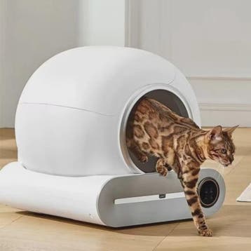 Automatische Kattenbak Smart XL met App Bediening - Grote Ca, Verzenden, Nieuw