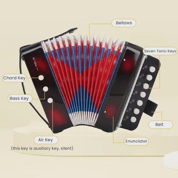 Mini Accordeon 10-Toetsen - Draagbaar Instrument voor Kinder, Verzenden, Nieuw